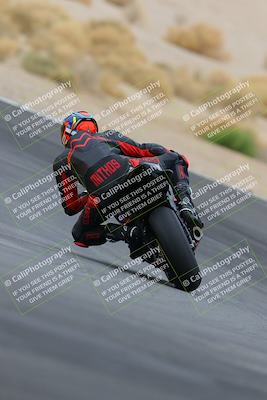 media/Jan-14-2023-SoCal Trackdays (Sat) [[497694156f]]/Turn 12 Backside (1010am)/